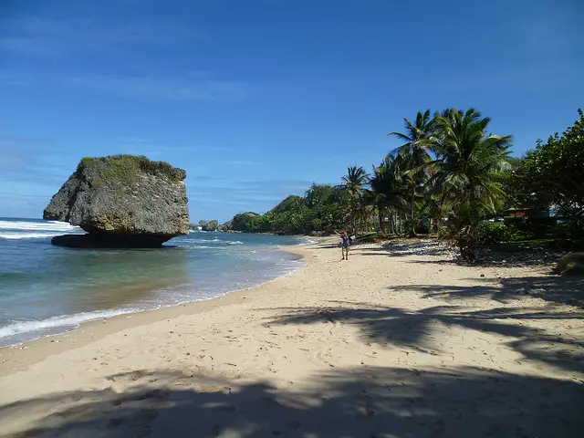 Barbados Water Tempetaure: Water temps for Barbados