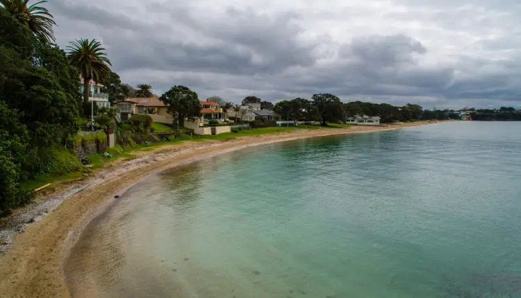 Auckland Water Temperature: Forecasts & Current Water Temp